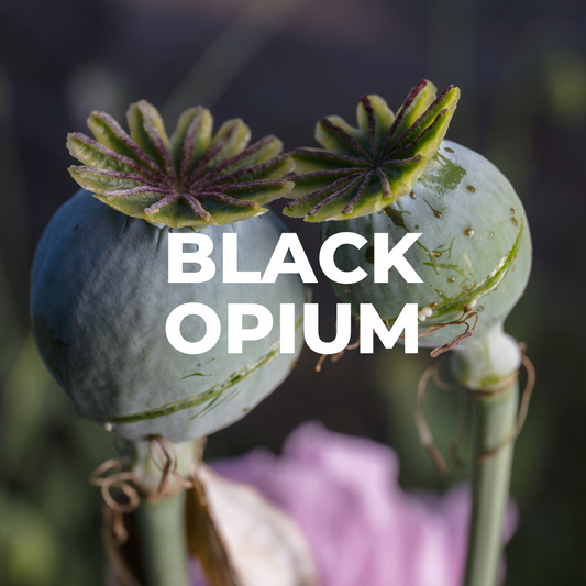Black Opium Candle