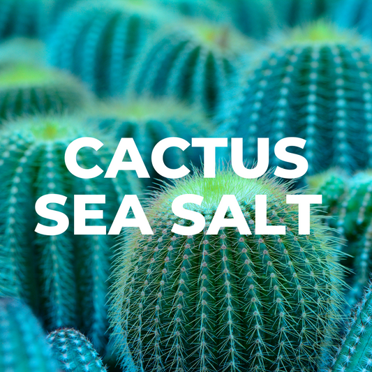 Cactus Sea Salt Candle